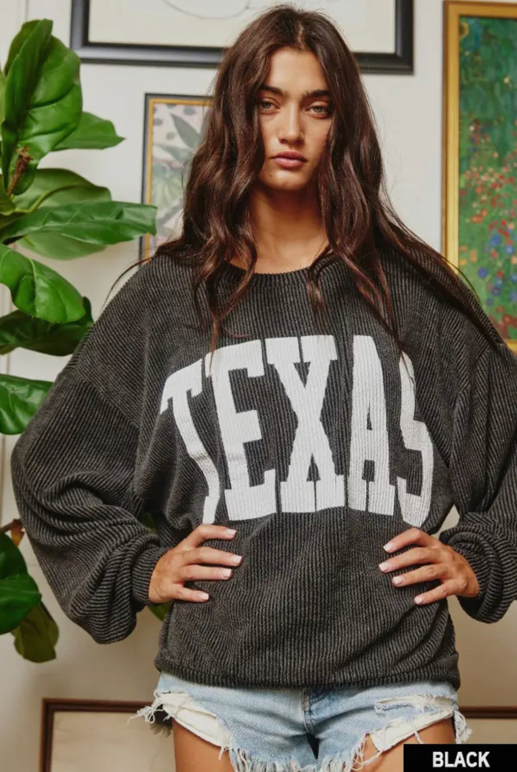 Texas Pullover Sweatshirt